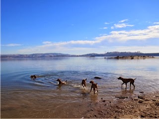 Group swim