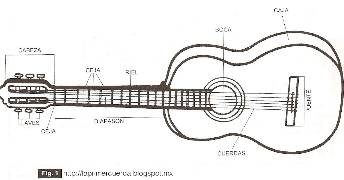 Leciones de Guitarra Partes de la Guitarra (Acústica) Leciones de Guitarra Partes de la Guitarra (Acústica)