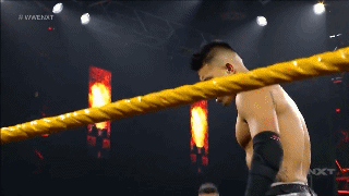 Flying Forearm Smash !