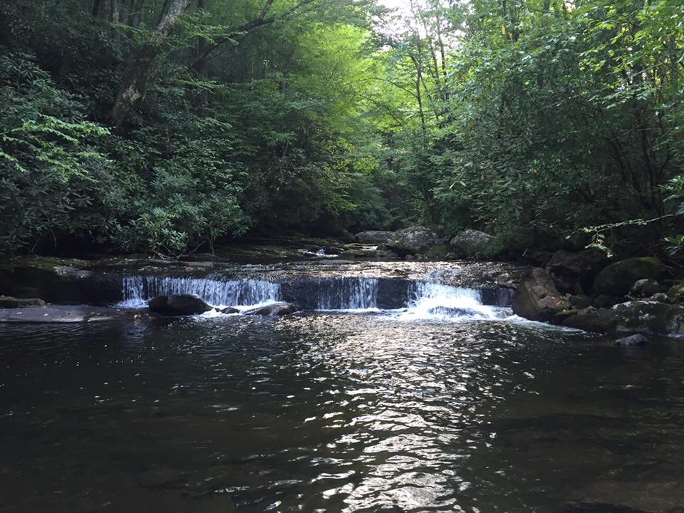 Best Trout Streams in North Carolina