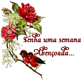 tenha%2Buma%2Bsemana%2Baben%25C3%25A7oad
