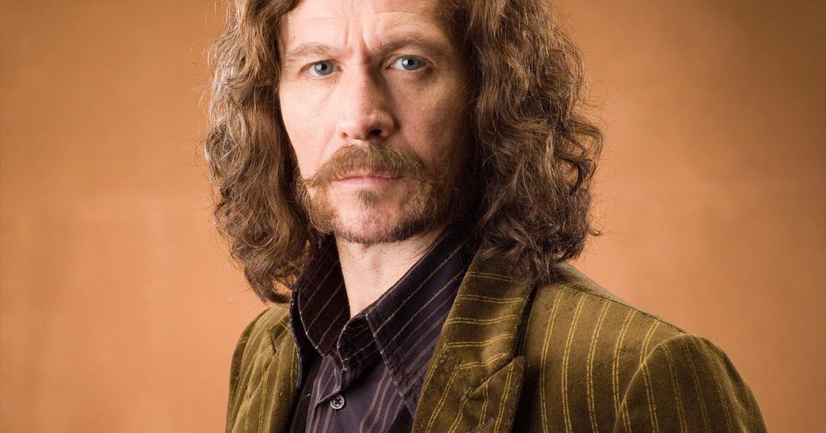 THE GRANDMA'S LOGBOOK SIRIUS ORION BLACK, GODFATHER OF HARRY J. POTTER