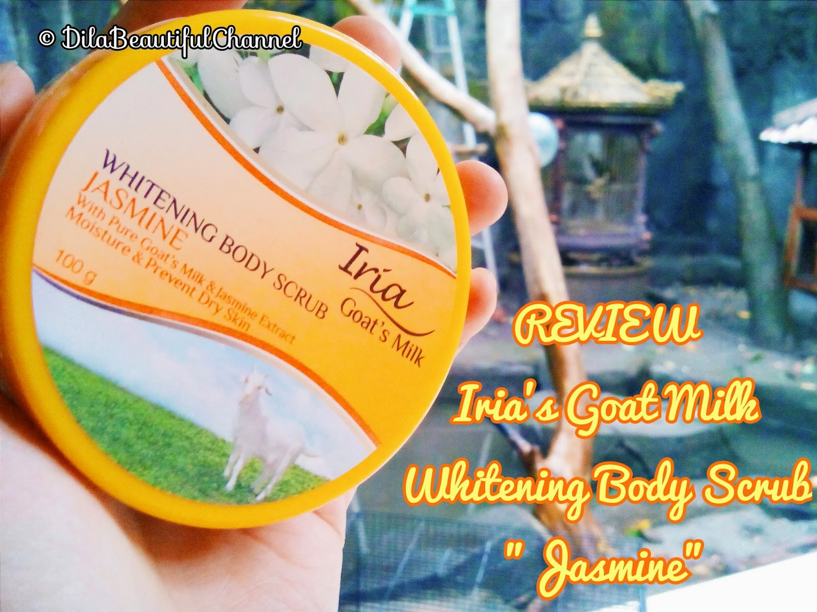 Beautiful Channel Review Iria Goat's Milk Whitening Body Scrub "Jasmine"
