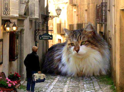 Wordless Become Speechless Wednesday.... Relaks Minda