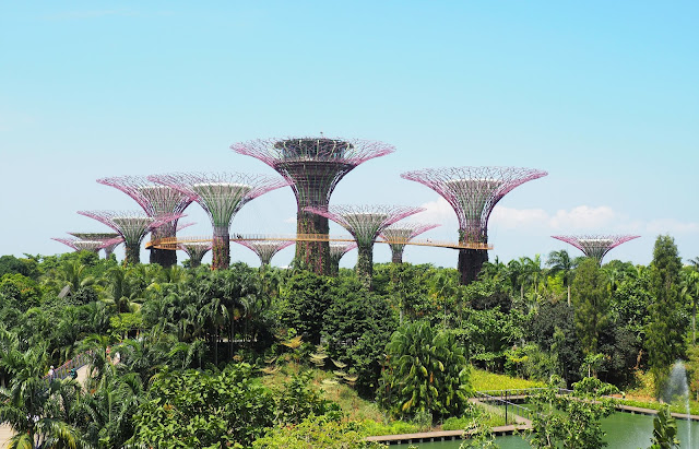 Gardens by the bay - Supertree Grove