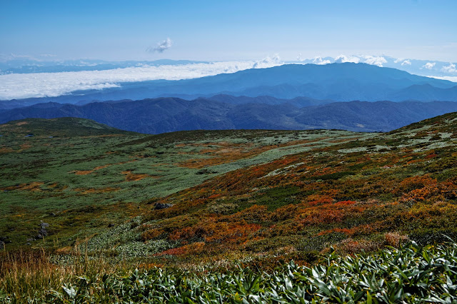 #photo #landscape #sigma #foveon #sdquattroh #japan #yamagata #shonai #写真 #風景写真 #山形帝國 #山形県 #庄内町