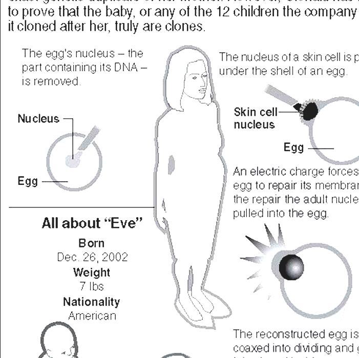 Human Cloning First Human Clone