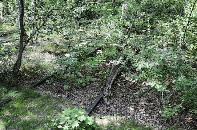 Baustelle Gleiswildnis, Gleisdreieck Park, 10965 Berlin, 17.06.2013