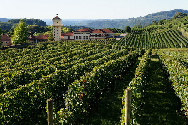 Vinícola Miolo em Bento Gonçalves: conheça as atrações oferecidas pela  vinícola no Vale dos Vinhedos - Felipe, o pequeno viajante