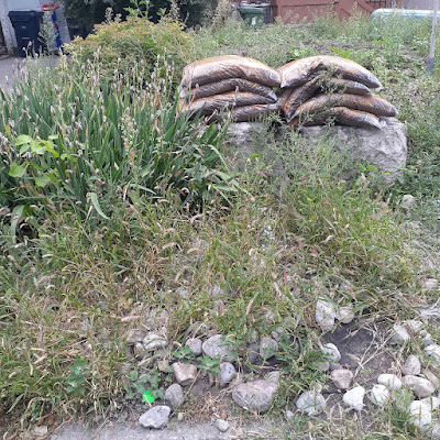 Toronto Allenby Front Yard Cleanup Before by Paul Jung Gardening Services--a Small Toronto Gardening Company