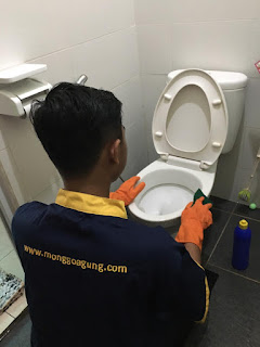 www.infocleaningservice.com