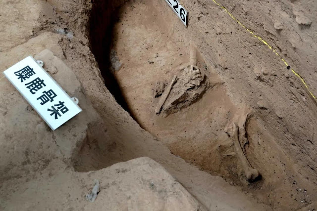 5,300-year-old city ruins discovered in central China