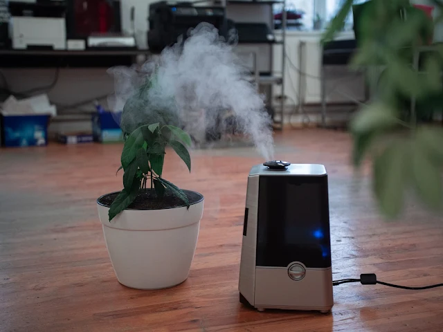 The Best Types of Air Purifiers for Prevention of Allergies