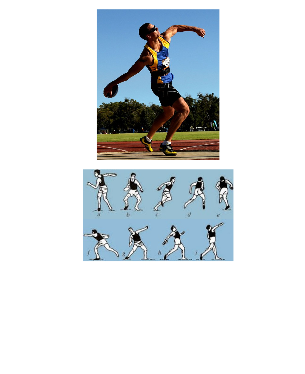 lapangan lempar cakram - wood scribd indo