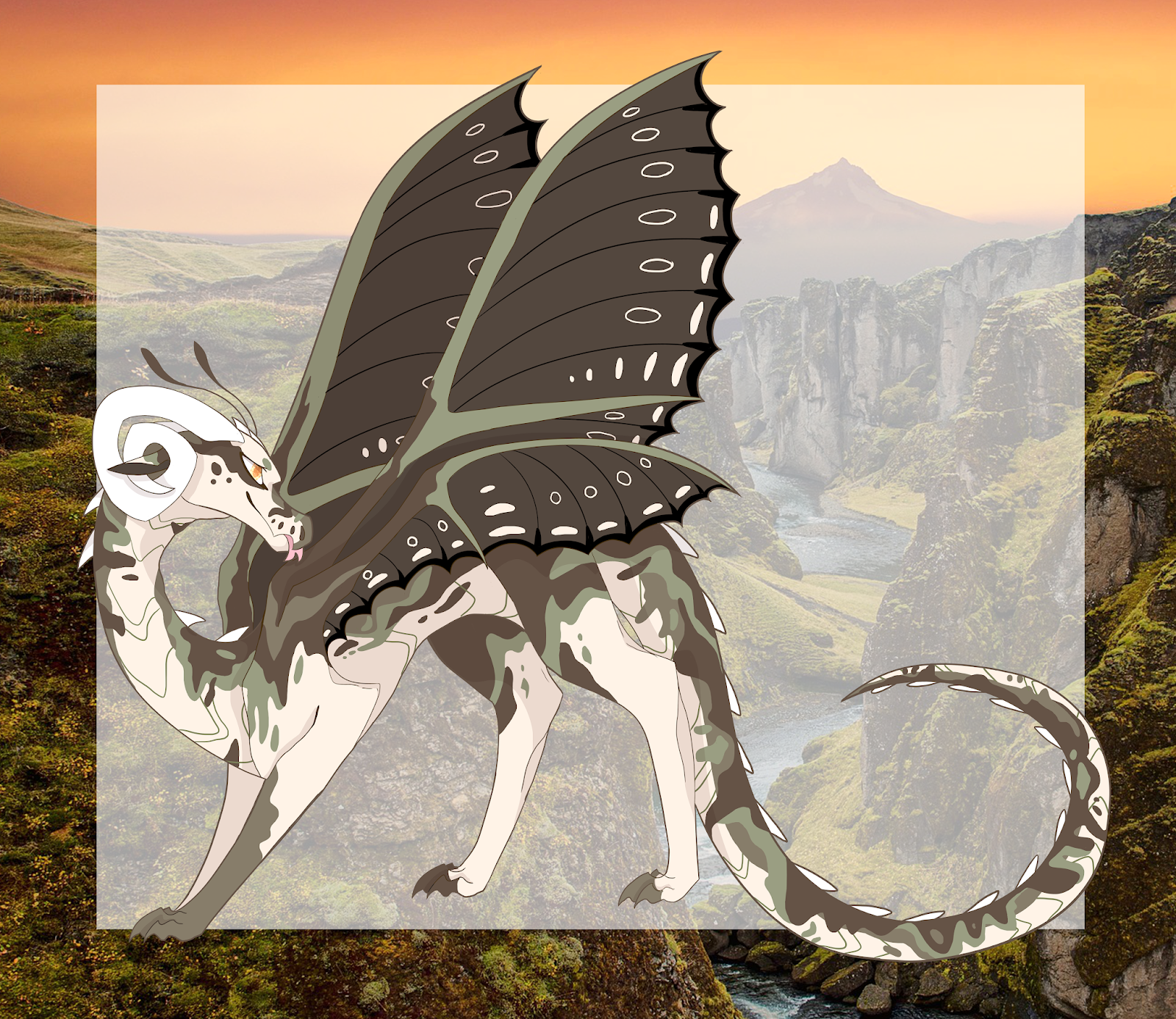 окрасы драконов. древний дракон адопт. древний дракон адопт. расцветки драконов. адопты fury драконы.