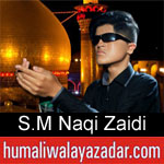 https://humaliwalaazadar.blogspot.com/2019/08/syed-mohammad-naqi-zaidi-nohay-2020.html