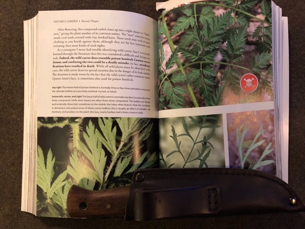 Identifikasi CiriCiri Tanaman Beracun Indonesia