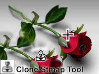 Clone Stamp Tool