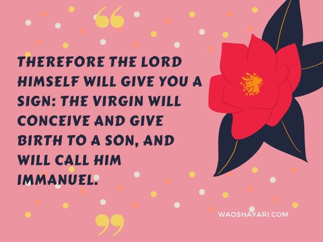 Christmas is quotes, Best 50 Christmas Quotes