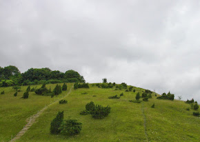 "Les larris", des coteaux qu'il faut escalader, en suivant les sentiers tracés par les moutons.