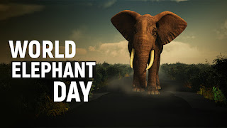 WORLD ELEPHANT DAY 2021 :Know all about