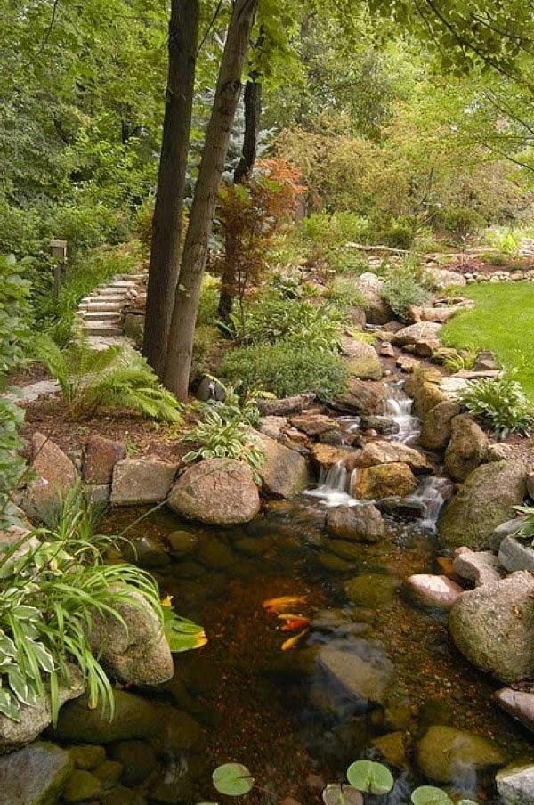 A relaxing garden and backyard waterfalls