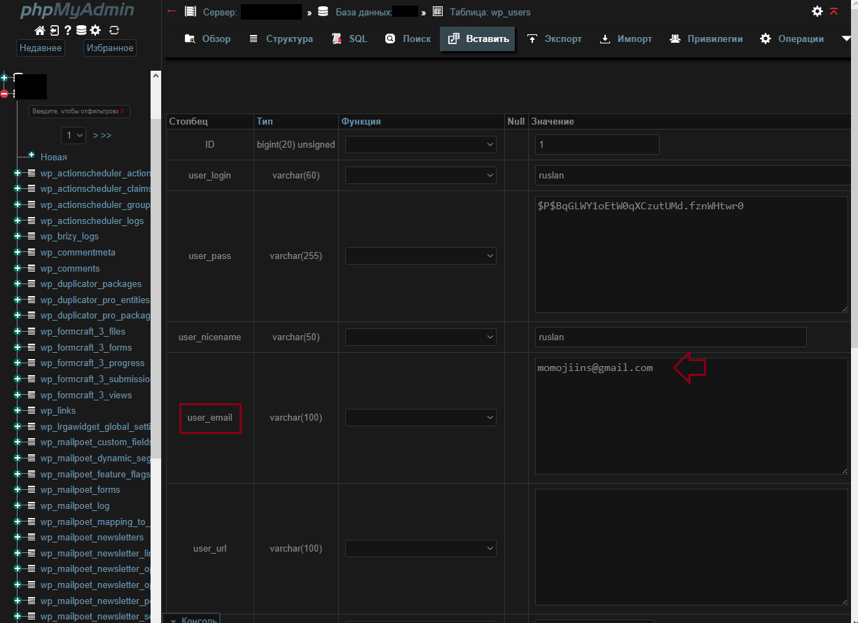 Указываем новую почту в поле user_emai для пользователя WordPress