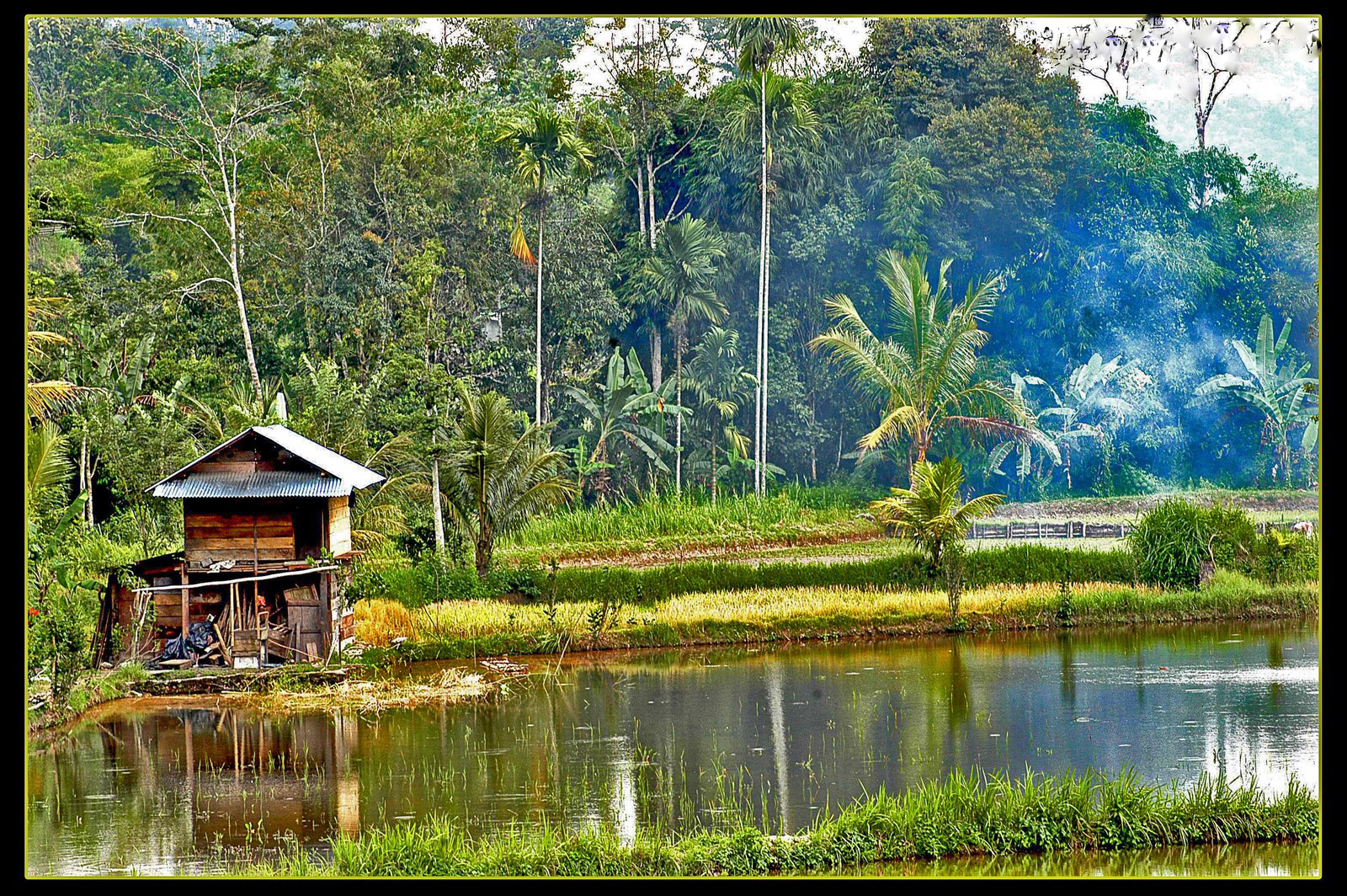  pemandangan  alam  terindah di indonesia  Pemandanganoce