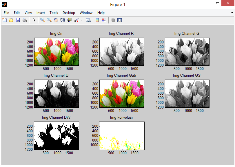 Digital Image Processing Using Matlab - Latihan Matlab dan Image ...