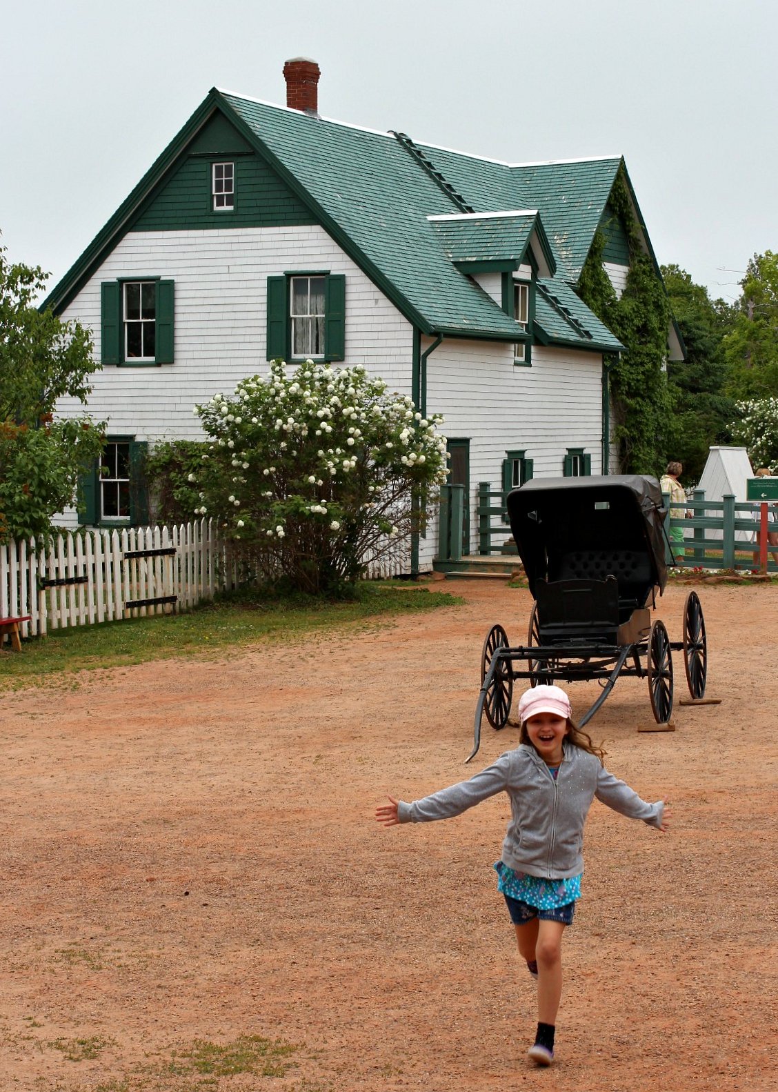 Дом зеленые крыши на острове принца эдуарда