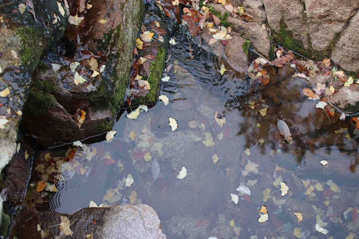 삼각산 도선사 삼각산 도선사