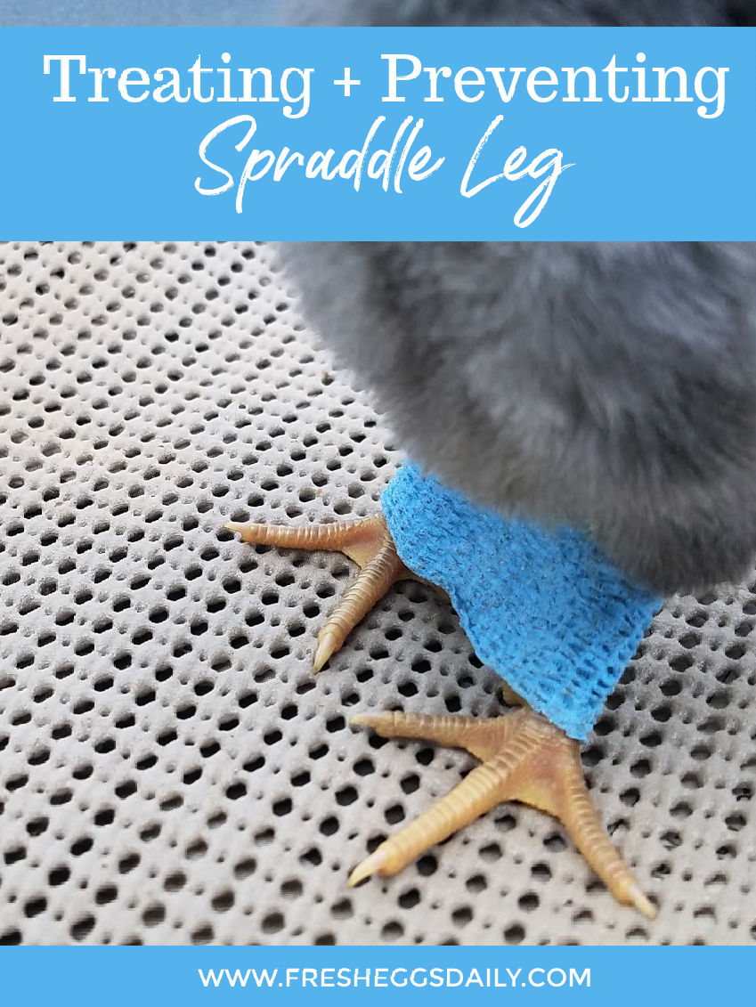 Spraddle or Splay Leg Preventing and Treating Splayed Legs in Baby