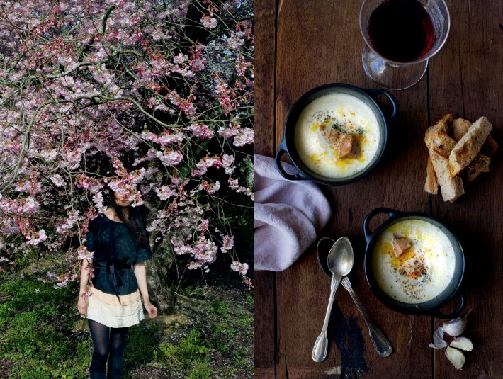 campo y cocote mimi thorisson