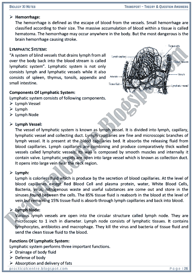 Transportation Theory And Questions Answers Biology XI Practical