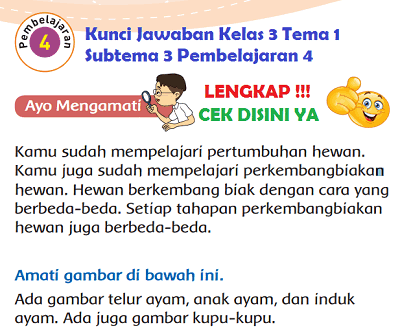 Kunci Jawaban Kelas 3 Tema 1 Subtema 3 Pembelajaran 4 www.simplenews.me