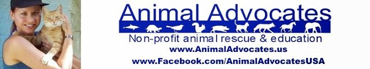 Mary Cummins Animal Advocates Los Angeles California Wildlife Rehabilitation Real Estate