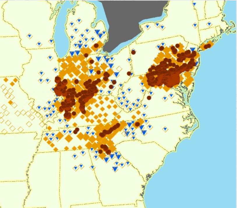 Green Risks: Cicadas are Emerging- Help Map Them