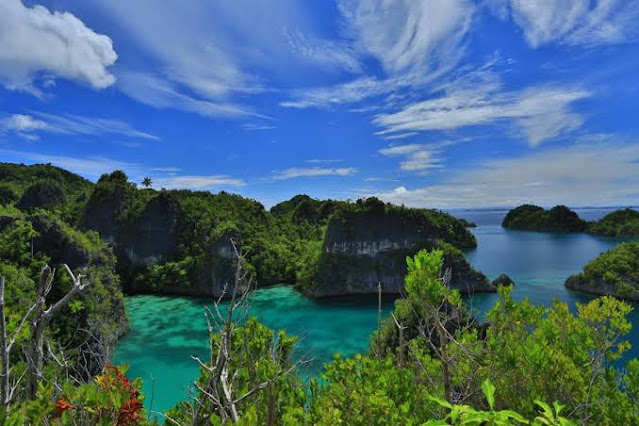 Raja Ampat: A World of Adventure Heaven in the Edge of Papua