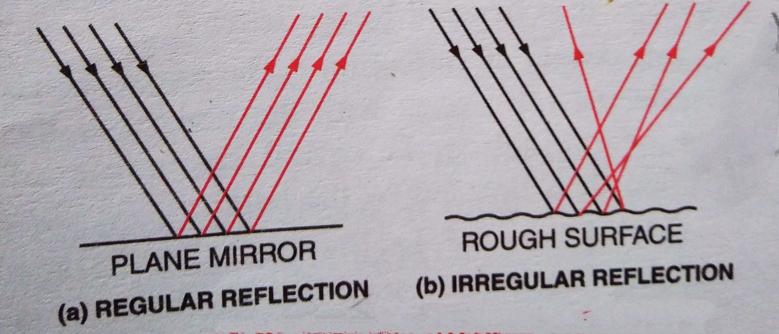 Class 8 Science Light Solution (Part 1)