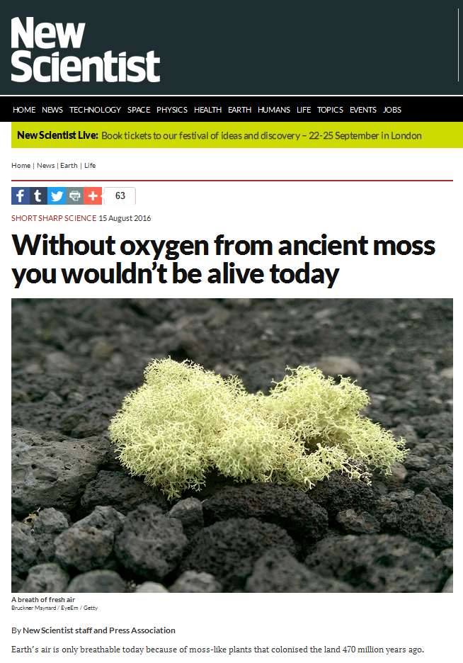 Blizzard Entertainment World Of Warcraft Cataclysm