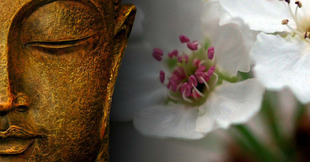 9 Enseñanzas Zen para aplicar en nuestra vida diaria