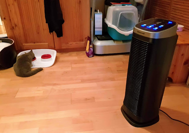 Honeywell Air Genius Luftreiniger Endlich Saubere Luft Im Ganzen Haus Mihaela Family Lifestyle And More