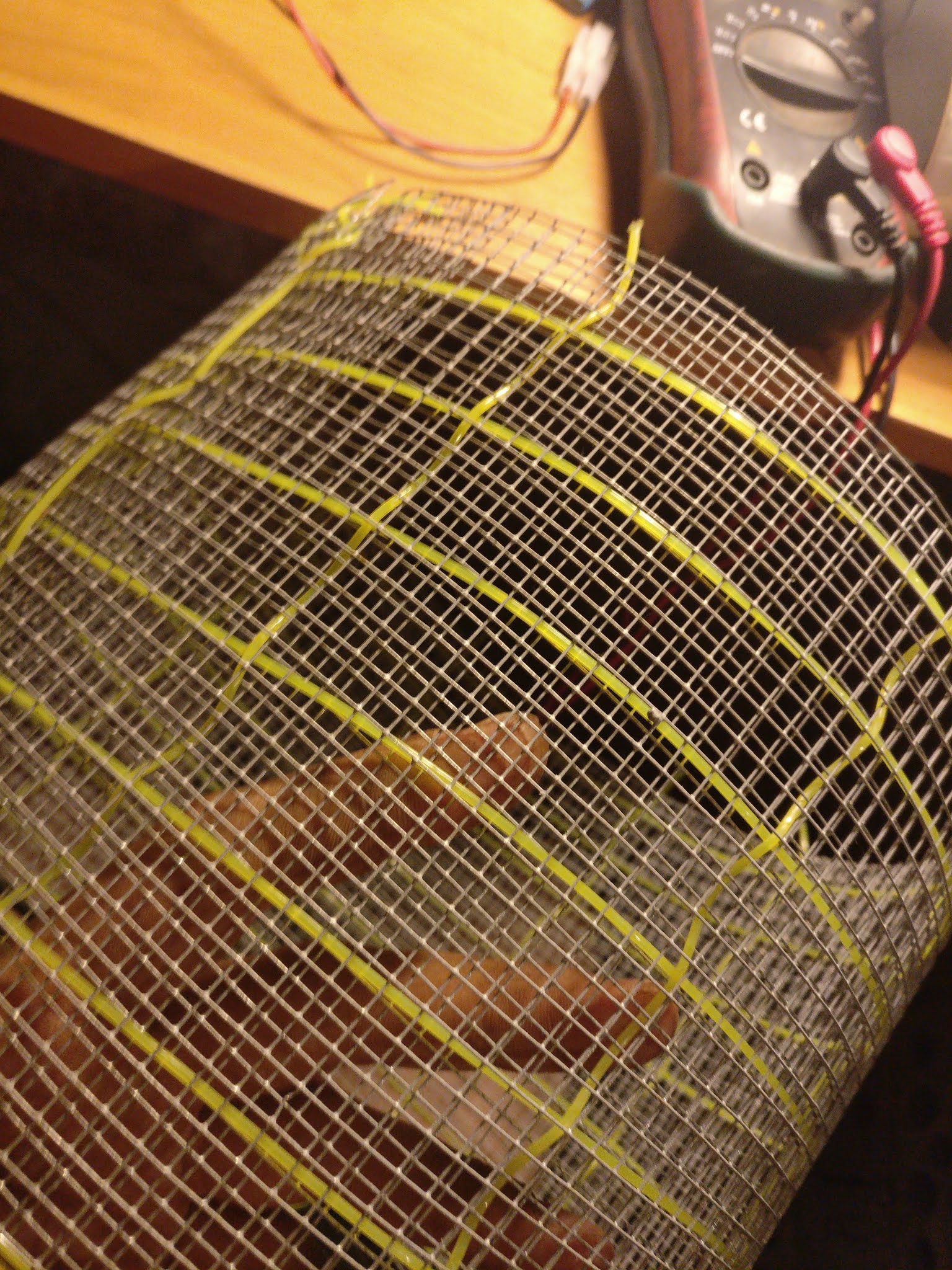 Homemade bug zapper to save my dog from the horde of horse flies.