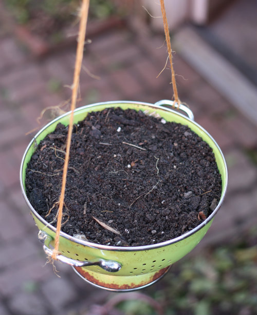 How To Recycled Colander Planter 17 Apart