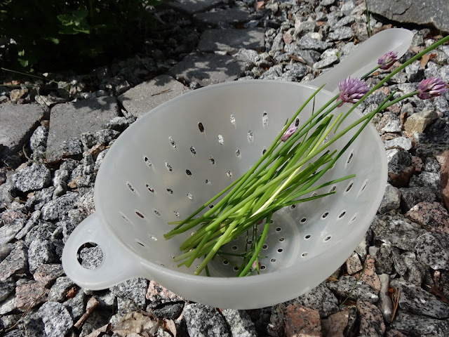 nationaldagen+(2) - Bilder från en Nationaldag