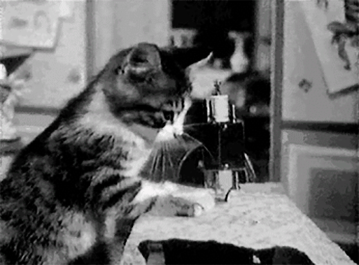 Gato Tierno Trabajando en Una Máquina de Coser gif