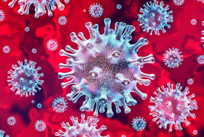 Em 20 de junho de 2020 o país bate o recorde sinistro de mais de 1.038.568 de pessoas infectadas com o novo coronavírus o responsável pelas mortes em todo o mundo. No Brasil os números são macabros e se aproximam de 50 mil mortes de pessoas. Infelizmente já se contabilizam 49.101 mil brasileiros mortos, são vidas, sonhos e projetos perdidos precocemente. O vírus da covid-19 visto a partir da lente do microscópio. Ele tem o formato ou perfil de uma coroa, daí vem esse nome de coronavírus. É pertencente a família do coronavírus da síndrome respiratória aguda grave 2 (SARS-CoV-2)
