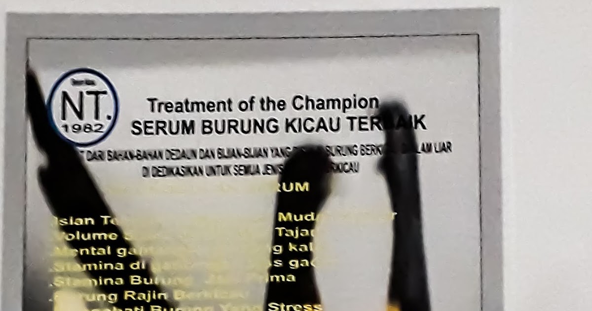 vitamin buat kenari biar gacor vitamin untuk merpati