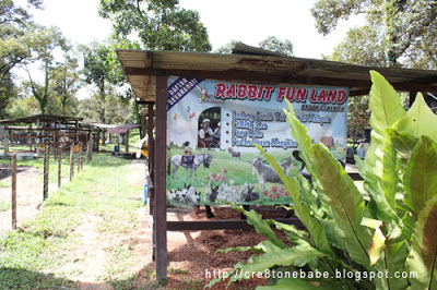 cre8tone: Hop-hop Rabbits