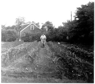 Dad, Tilling, Garden, 1955
